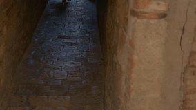 Woman walking in a narrow cobblestone alley. Young woman wearing a long dress and sandals walking through a dark, narrow cobblestone street in a historic european old town, emerging from the shadows - Powered by Shutterstock - Get 15% off with code: PIKWIZARD15