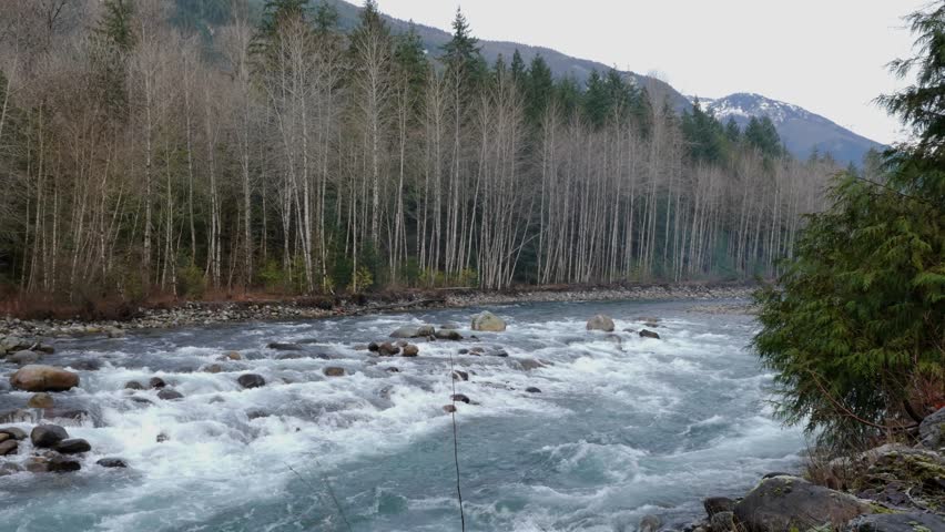 Chilliwack River (pan left) during a fall season in Chilliwack, Fraser Valley, British Columbia, Canada