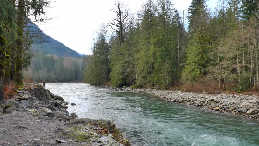 Chilliwack River during a fall season in Chilliwack, Fraser Valley, British Columbia, Canada