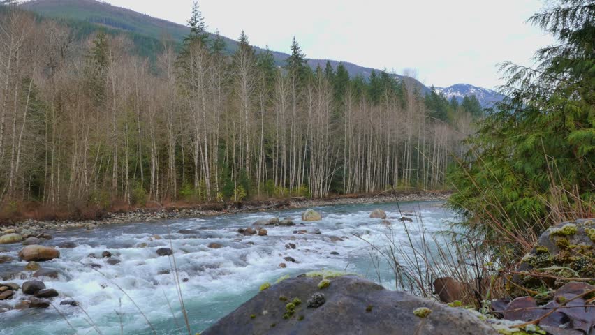 Chilliwack River during a fall season in Chilliwack, Fraser Valley, British Columbia, Canada