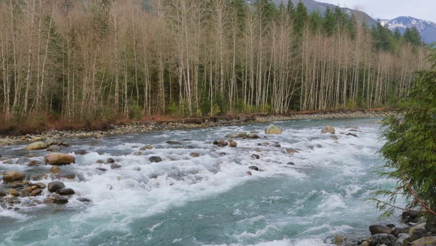 Chilliwack River during a fall season in Chilliwack, Fraser Valley, British Columbia, Canada