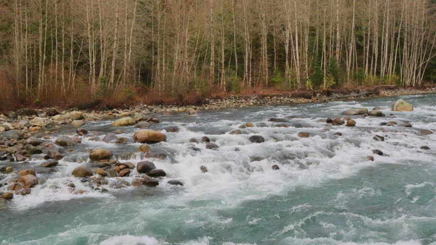 Chilliwack River during a fall season in Chilliwack, Fraser Valley, British Columbia, Canada