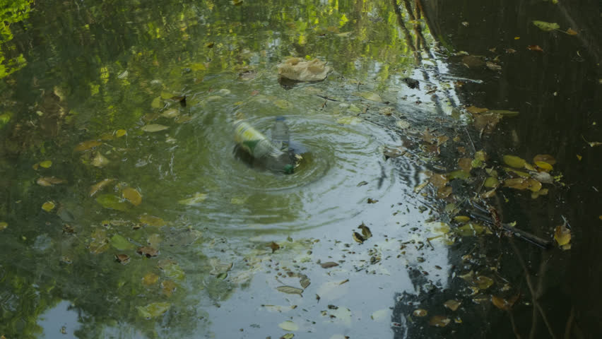 Calm but dirty water surface in a city canal with reflections of nature, representing urban ecology and water management.