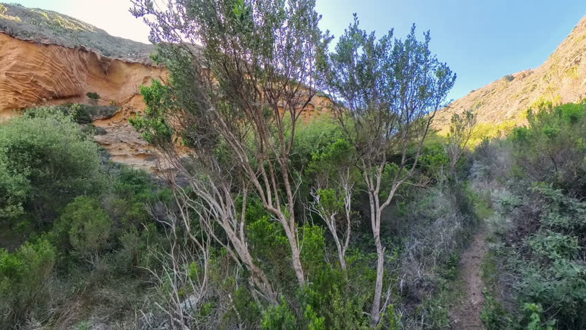 Rising Up to Views of Lobo Canyon in Channel Islands National Park