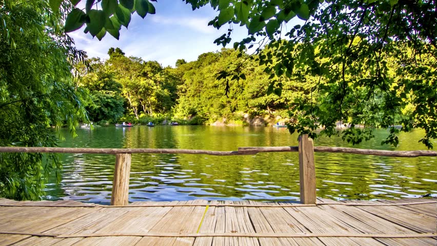 Wooden Boardwalk Overlooking a Serene Lake Surrounded by Lush Green Trees on a Sunny Day