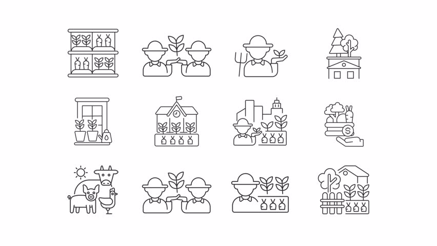 Animated urban farming line icons. Agricultural industry future animation set. Green practices in city. Food producing. Outline elements on white background. HD video with alpha channel
