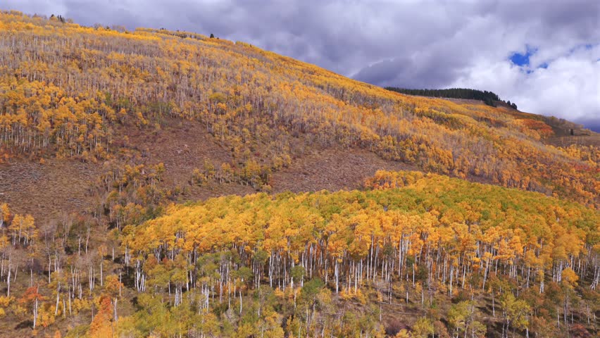 Vail Valley Vail Village Avon Beaver Creek Vail Pass aerial drone Colorado fall autumn Rocky Mountains hillside cliffs quaking Aspen Trees morning blue sky cliffs Piney Ranch circle left motion