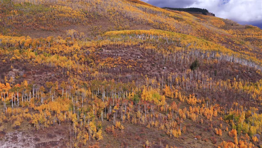 Vail Valley Vail Village Gore Range Vail Pass Piney Ranch Avon aerial drone Colorado fall autumn Rocky Mountains hillside quaking Aspen Trees morning blue sky cliffs forward pan up motion