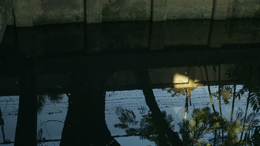 Calm but dirty water surface in a city canal with reflections of nature, representing urban ecology and water management.