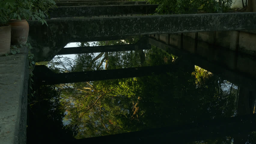Calm but dirty water surface in a city canal with reflections of nature, representing urban ecology and water management.