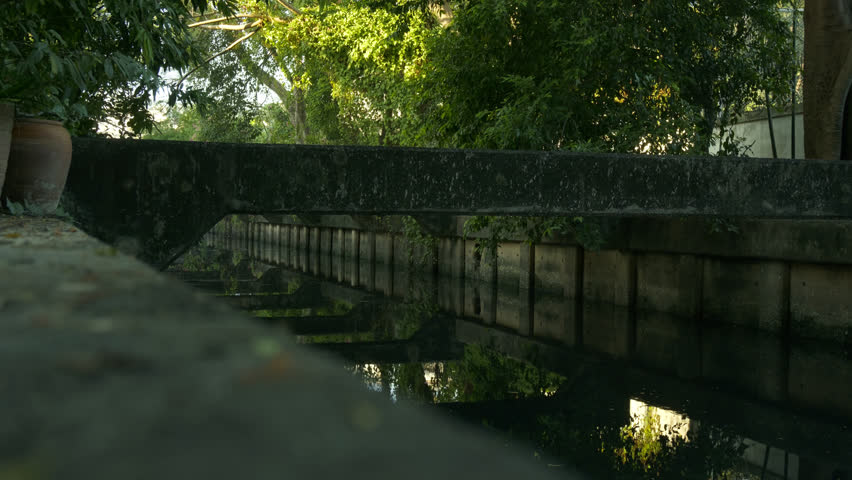 Calm but dirty water surface in a city canal with reflections of nature, representing urban ecology and water management.