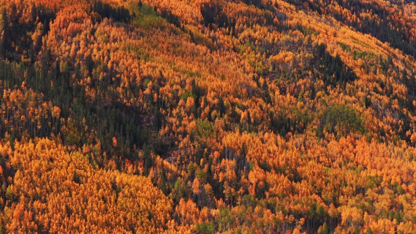Vail Valley Vail Village Ski Resort trails Avon aerial drone Colorado fall autumn Rocky Mountains hillside cliffs quaking Aspen Trees morning blue sky cliffs Piney Ranch circle right pan up motion