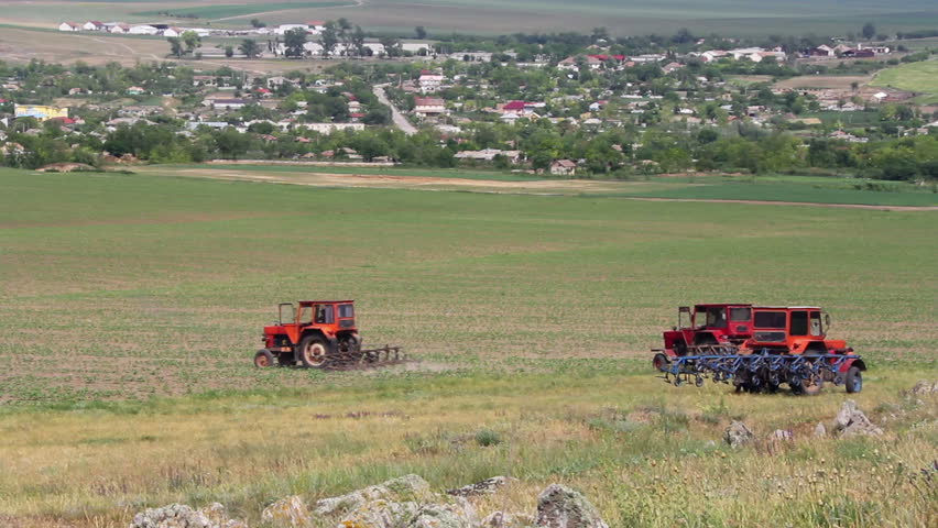 Tractors plowing weeds from between rows of a corn field ...