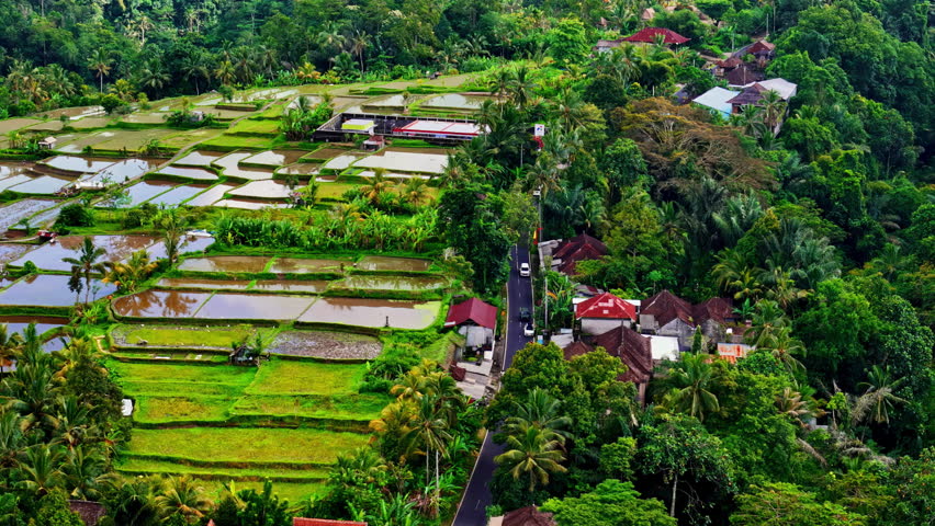 Landscape capture of Tegallalang rice terraces shaped by traditional irrigation in Bali