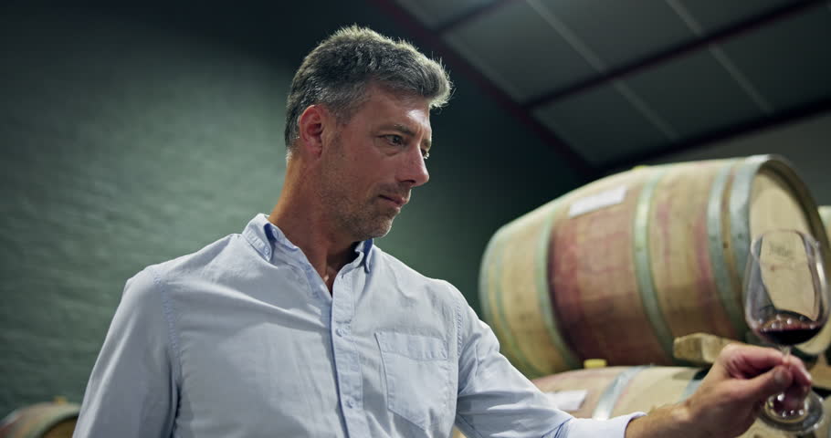Experience, man and wine tasting with smell in cellar for quality control, test flavor and low angle. Sommelier, mature person and swirl glass in storage to release aroma, check faults and enology