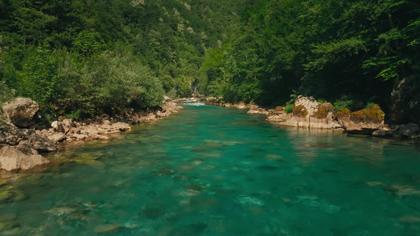 Clear river in lush canyon, Tara River, Montenegro, serene, nature focus