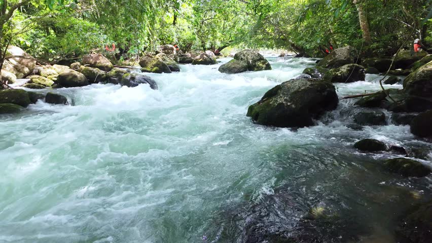 Superb view of summer: Slow motion of the fantastic Moot valley in Phong Nha National Park, Vietnam with the sound of a clear stream flowing through the peaceful tropical jungle