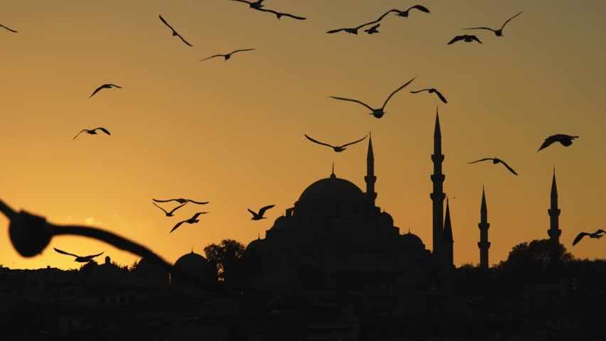 Birds flying at sunset near famous mosque in Istanbul during evening hours. Silhouettes of seagulls against the backdrop of the New Mosque (Yeni Camii) in Istanbul, Turkey