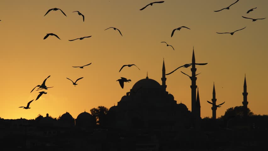 Birds flying at sunset near famous mosque in Istanbul during evening hours. Silhouettes of seagulls against the backdrop of the New Mosque (Yeni Camii) in Istanbul, Turkey