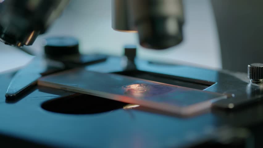 Close-up shot of a cell specimen on a glass slide under a microscope with a pipette tip, showcasing laboratory research, scientific analysis, and microbiology.