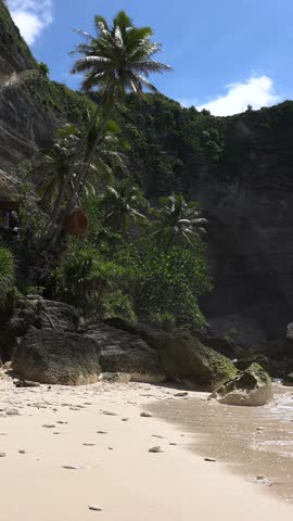 Vertical screen: Young caucasian woman in tropic beach wearing black swimsuit and sunglasses walks into secluded sandy beach with cliffs, palm trees to relax, sunbathe during tropical island vacation