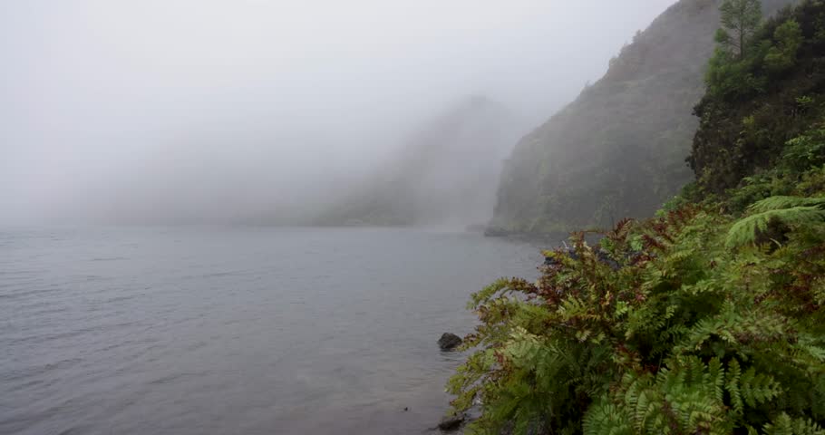 A foggy day with a lake and a forest in the background. The water is calm and the sky is overcast