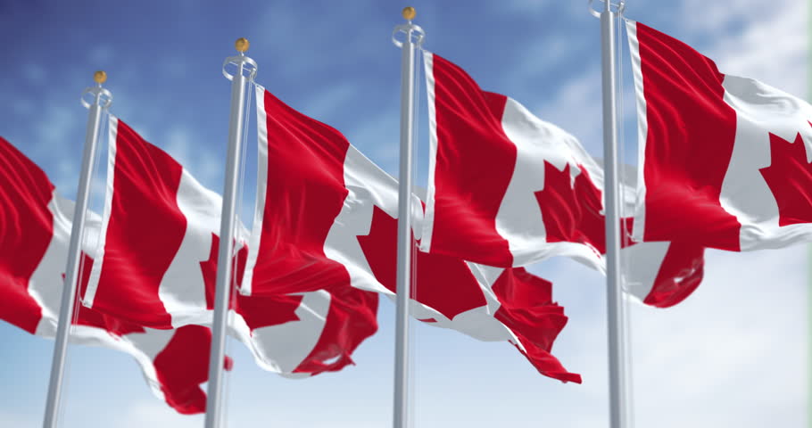 Canada national flags waving in the wind on a clear day. White square in center and red stylized maple leaf with eleven points. Seamless 3d render animation. Slow motion loop. Selective focus