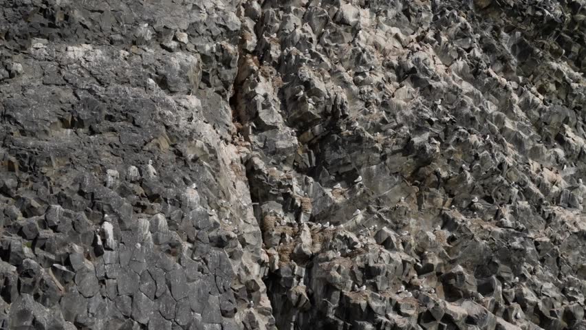 Close-up of a rugged basalt cliff with columnar jointing, showing hexagonal volcanic formations, fractured rock patterns, weathered textures, and angular surfaces.