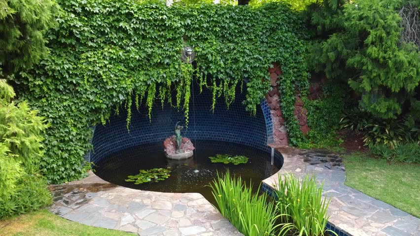 Flying up in a park in Melbourne, Victoria, Australia