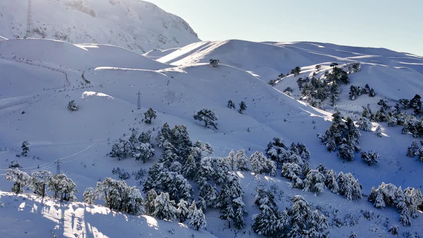 A peaceful snowy mountain landscape featuring a gondola line, winding ski slopes, and pine trees under soft sunlight. Ideal for themes of winter sports, alpine travel, nature and outdoor adventure.