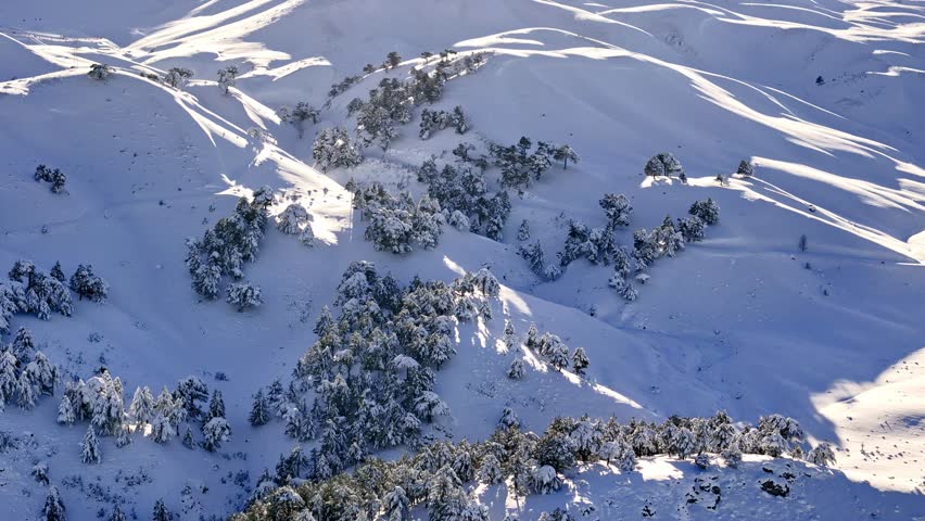 A stunning snowy mountain scene captured by drone, featuring a gondola line, pine-covered slopes, and warm sunrise light. Perfect for themes of winter travel, skiing, alpine landscapes, and nature.