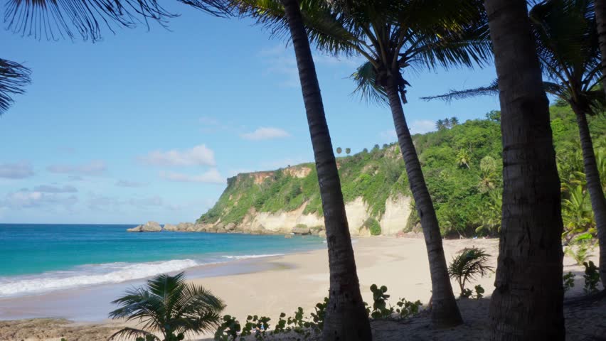 Blue sky, blue sea and palm trees on the shade at Punta Borinquen Beach, Aguadilla, Puerto Rico