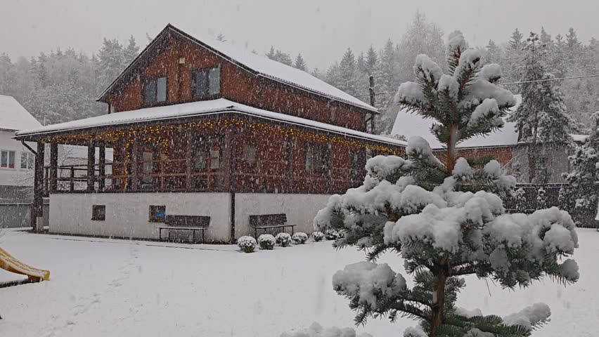 Winter has returned in the middle of spring. Heavy snow is falling with large snowflakes. Snow lies on the trees, on the grassy lawn and on the roof of a wooden house. Snow also lies on the spruce