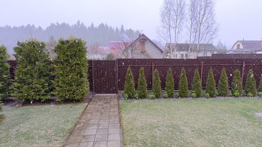 Winter returned in the middle of spring. It is snowing heavily with large snowflakes. Snow covers the branches of trees, roofs of houses and the ground. Abnormal weather with precipitation
