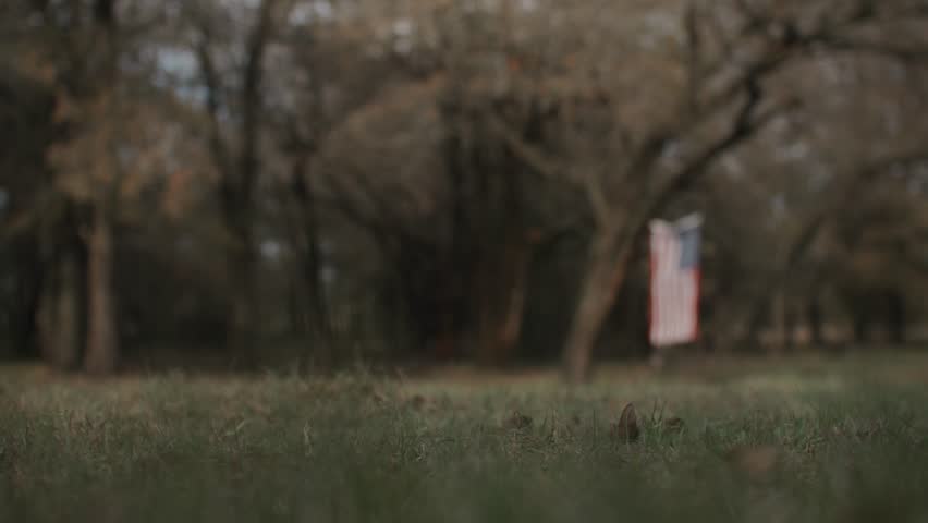 Cowgirl Woman With Braid and Scarf Wearing Cowboy Hat and Denim Jacket Sitting On Brown Horse With American Flag and Tree in Field in the Background