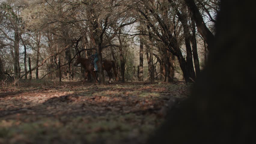 Cowgirl Woman With Braid and Scarf Wearing Cowboy Hat and Denim Jacket Sitting On Brown Horse With American Flag and Tree in Field in the Background