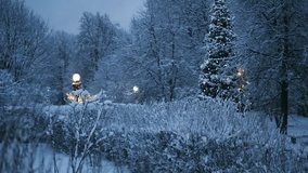 Snowy winter park at night. A glowing Christmas tree decorated with lights stands on a path. Festive magic with lanterns and falling snow in the blue twilight - Powered by Shutterstock - Get 15% off with code: PIKWIZARD15