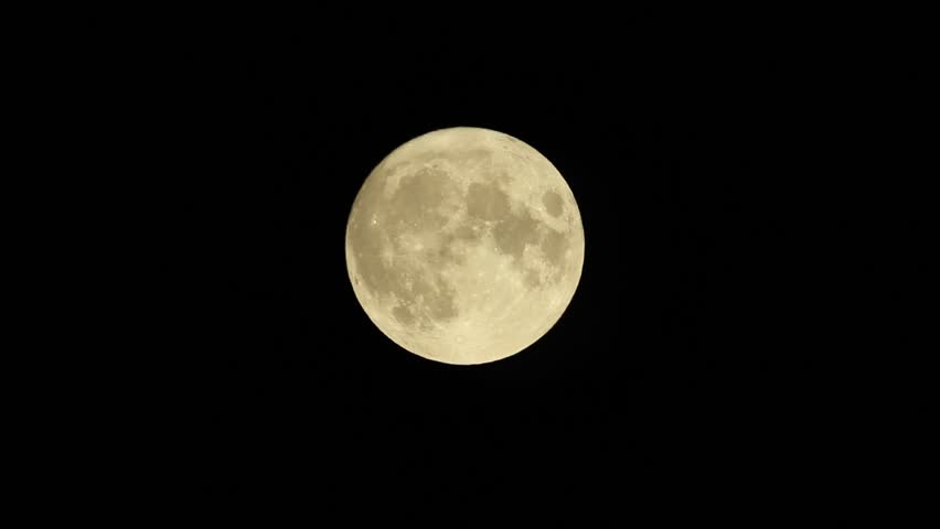Magnificent golden full moon in close-up with tawny owl calls echoing through the night in a mysterious atmosphere