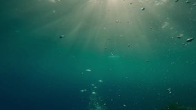 Many air bubbles rise to the surface of the water with waves on them in the rays of the evening sun, Backlit, Jets of air bubbles slowly rise to the surface of the water in the setting sun - Powered by Shutterstock - Get 15% off with code: PIKWIZARD15