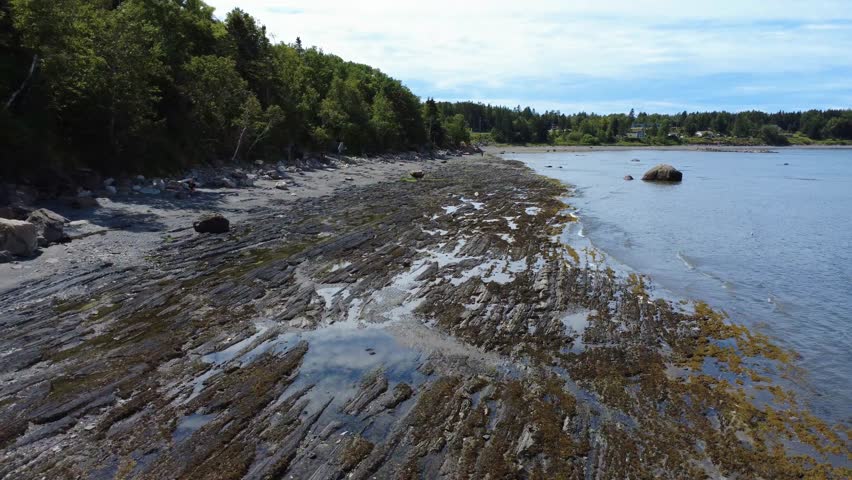 Aerial view of a beach revealing its rocky seabed at low tide, bordered by a lush forest on the banks of the St. Lawrence River, Metis-sur-Mer, Quebec, Canada.