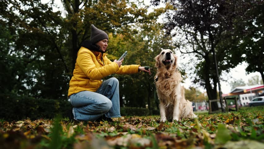 Girl Takes A Photo Of Adorable Golden Retriever Sitting In Yellow Maple Leaves In An Autumn Park