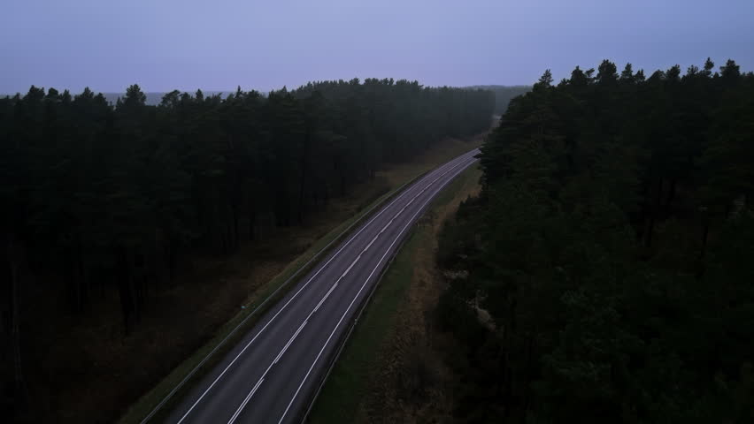 Scenic dusk path weaving through lush trees, Nighttime forest route with gentle bends and tranquil hues