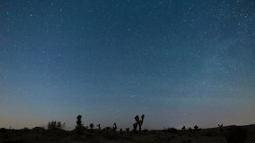Timelapse of northern lights star trails over Mojave Desert in California, USA - Powered by Shutterstock - Get 15% off with code: PIKWIZARD15