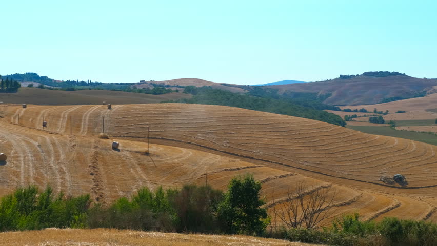Agricultural harvester working in tuscany landscape during summer. Tuscany agricultural landscape showcasing golden wheat field during summer, harvesting machinery creating hay bales amid
