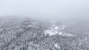 Drone holds a high static view above a snowy forest as heavy snowfall and mist cover the frozen landscape. - Powered by Shutterstock - Get 15% off with code: PIKWIZARD15