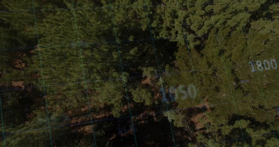 UAV descending over pine canopy, casting teal grid, marking numeric tags on plume alert for mapping. Aerial, forest, treetops, shadows, cyan, overlay, geospatial