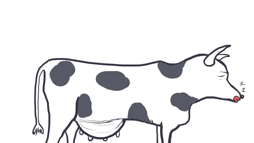 A cute cartoon cow sleeps standing up.