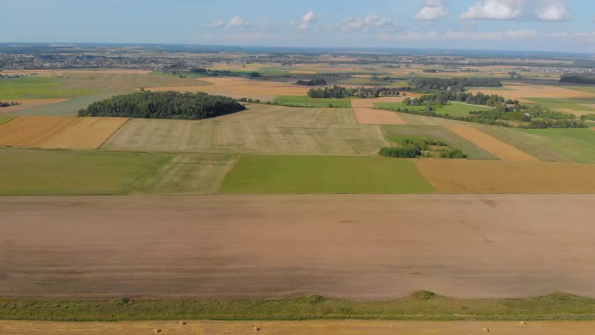 A drone shot captures a picturesque, vast rural landscape in the Radviliškis district, Lithuania, showing a mosaic of green and yellow agricultural fields and a small clump of trees under a bright blu
