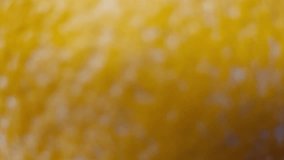 abstract color degradation on orange with out of focus for advertising background video. Blurred Orange Citrus Fruits: Abstract Bokeh Background Loop for Healthy Food, Nutrition, and Freshness Concept - Powered by Shutterstock - Get 15% off with code: PIKWIZARD15