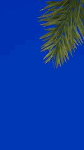 Vibrant green palm leaves contrasted against a bright blue background in 4k vertical format. Ideal for animation and bluescreen projects with 3d render effects.